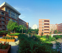 ɽ����ͨѧԺУ԰���ͼƬ